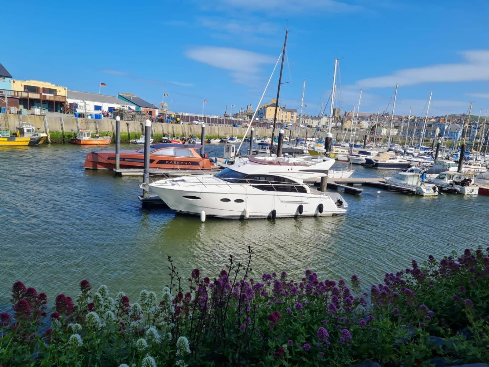 Spacious Luxury Escape With Sea Views And Pet Friendly At Clarach Bay Aberystwyth Bagian luar foto